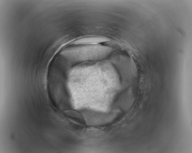 X0000116640290201001041036