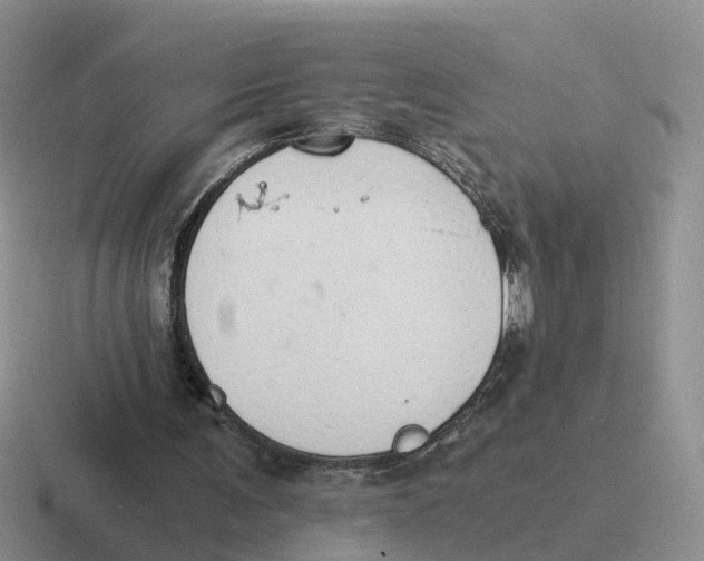 X0000116640291201001041036