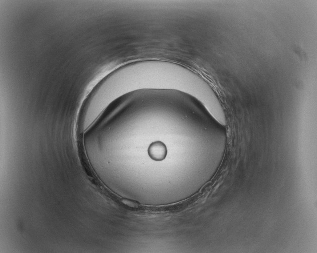 X0000116640292201001041036