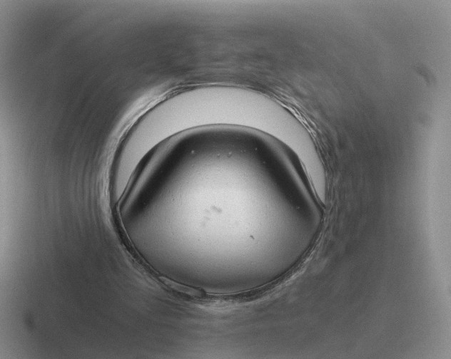 X0000116640293201001041036