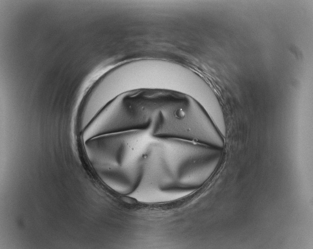 X0000116640294201001041036