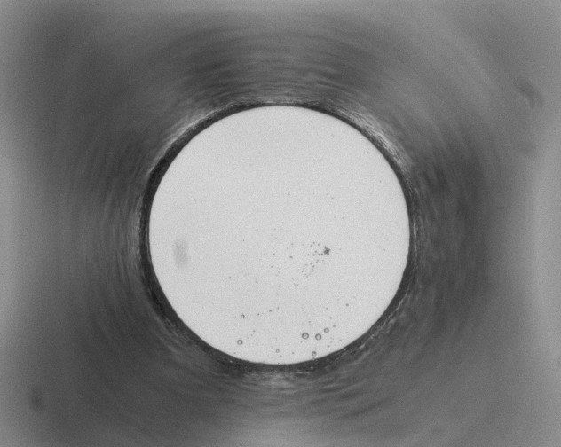 X0000116640297201001041036