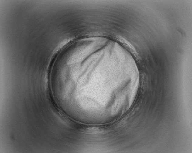 X0000116640298201001041036