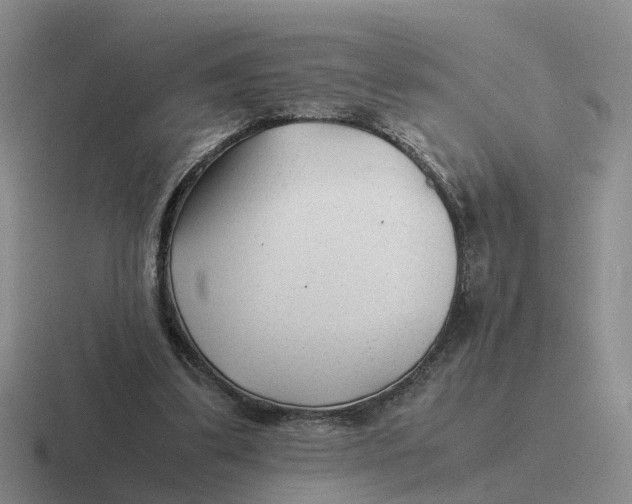 X0000116640299201001041036