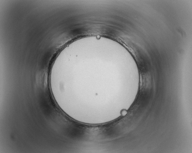 X0000116640301201001041036