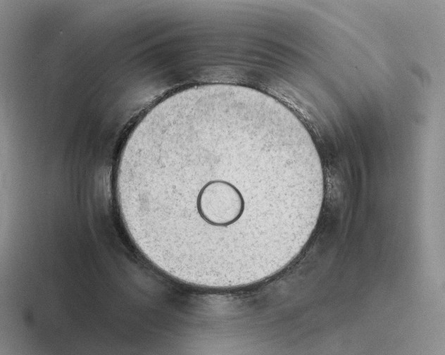 X0000116640302201001041036