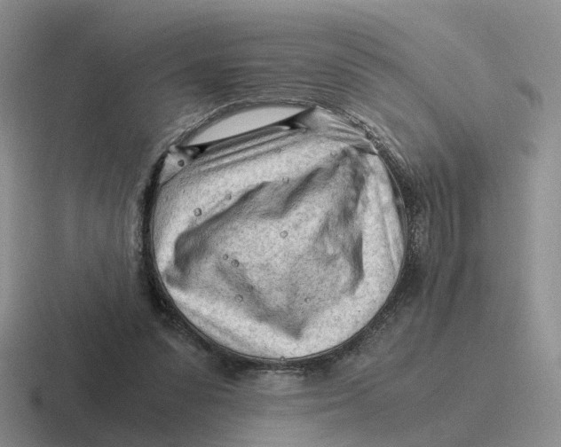 X0000116640303201001041036