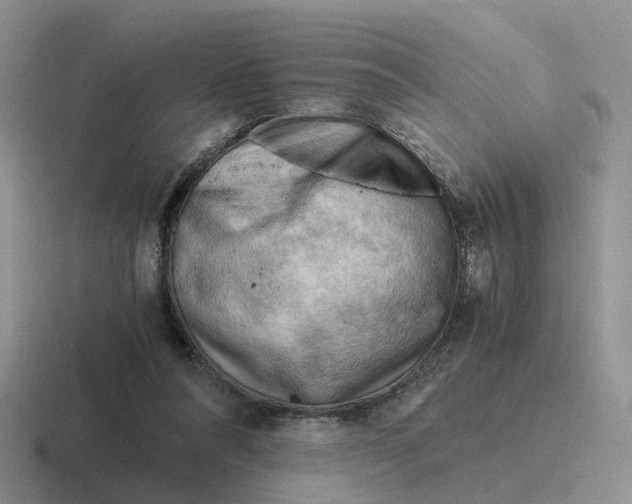 X0000116640304201001041036