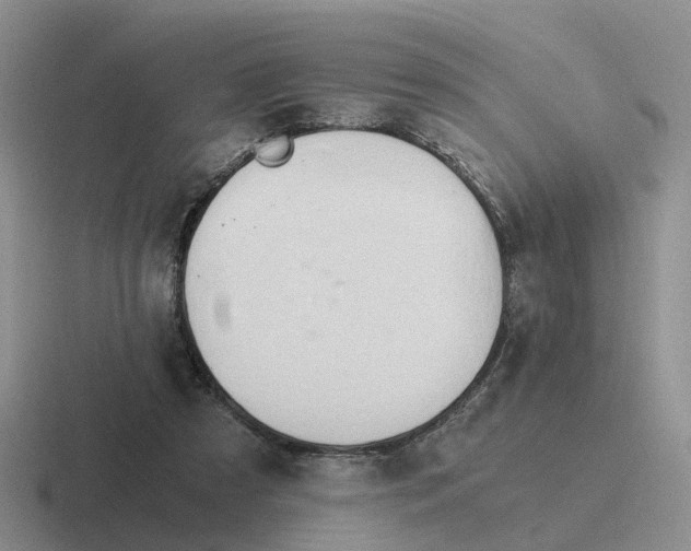 X0000116640305201001041036