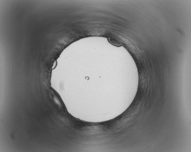 X0000116640307201001041036