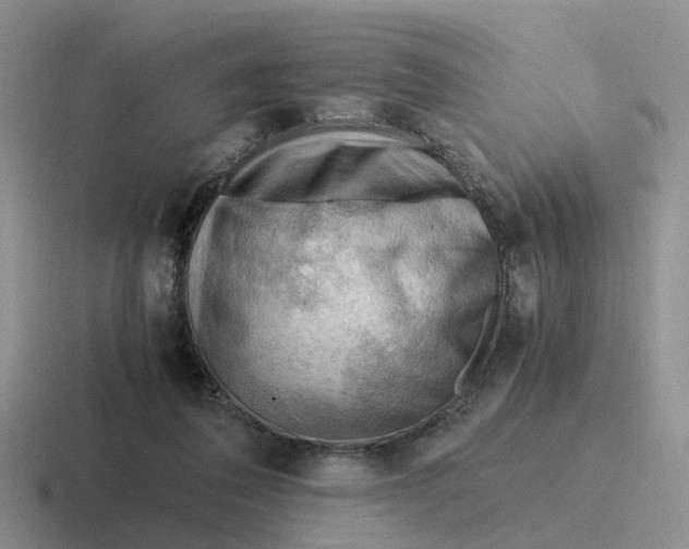 X0000116640308201001041036