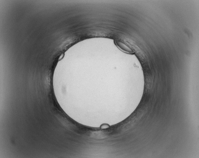 X0000116640309201001041036