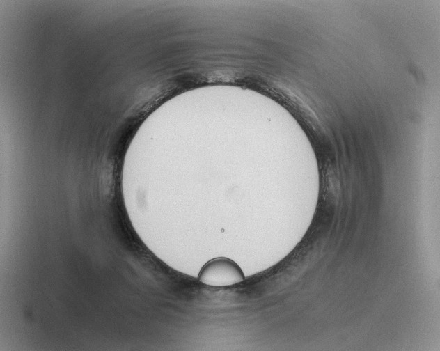 X0000116640311201001041036