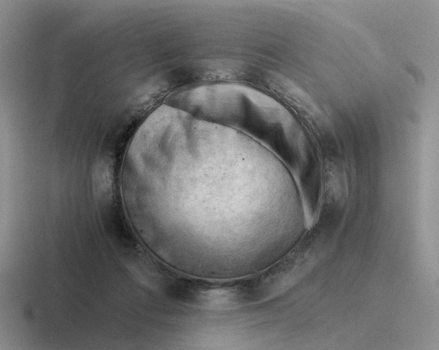 X0000116640312201001041036