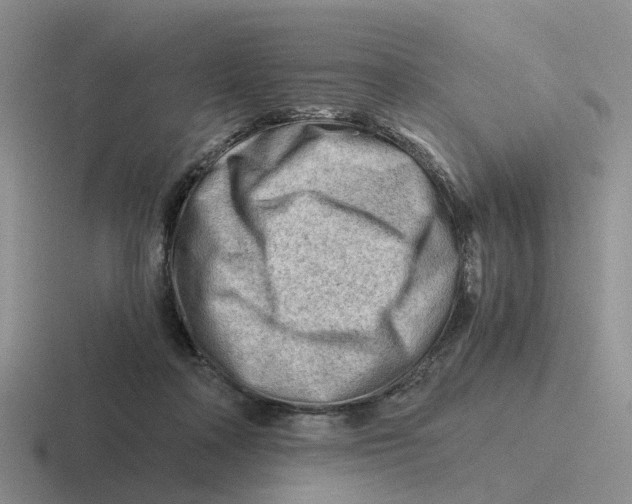 X0000116640314201001041036