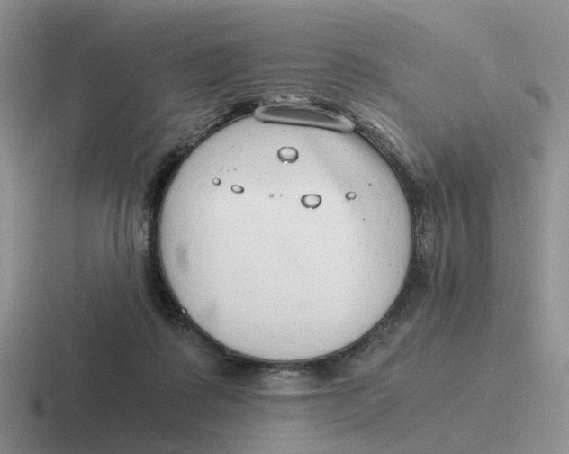 X0000116640315201001041036