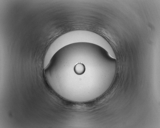 X0000116640317201001041036