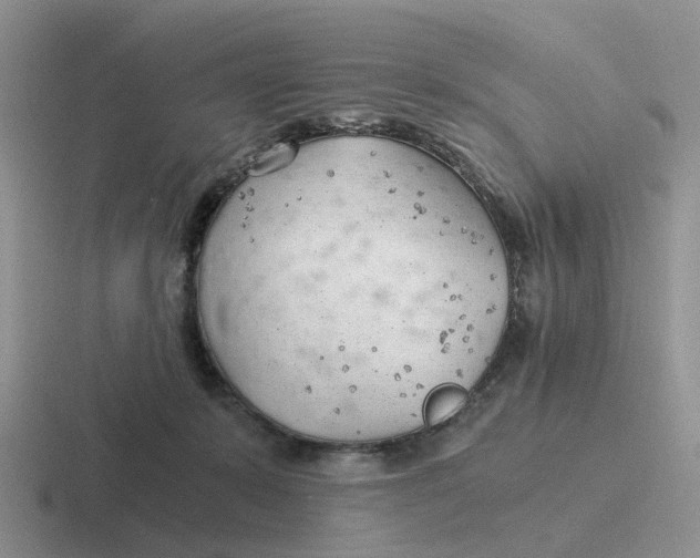 X0000116640319201001041036