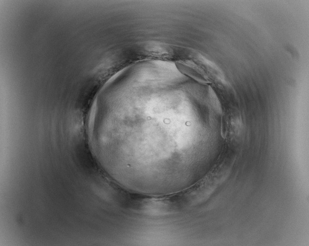 X0000116640320201001041036