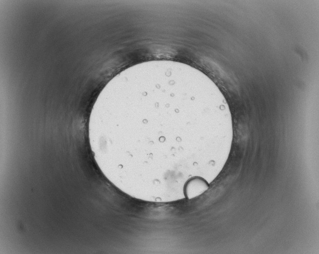 X0000116640321201001041036