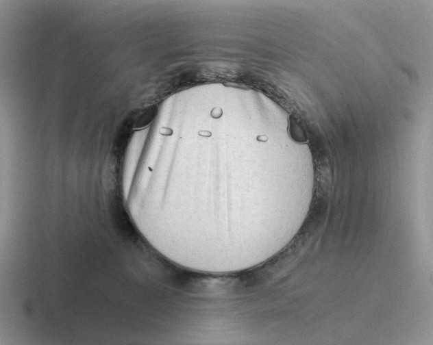 X0000116640323201001041036