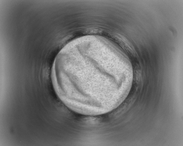 X0000116640326201001041036