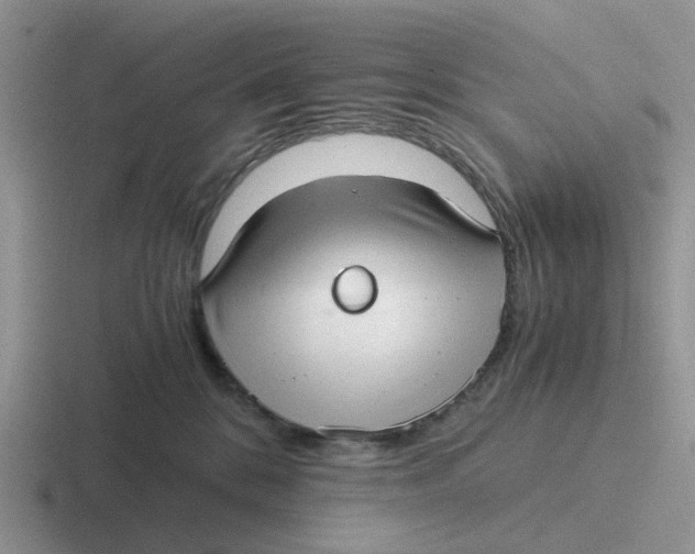 X0000116640328201001041036