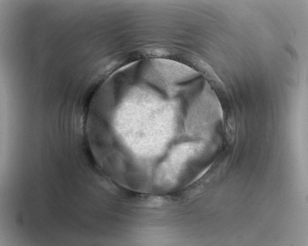 X0000116640330201001041036