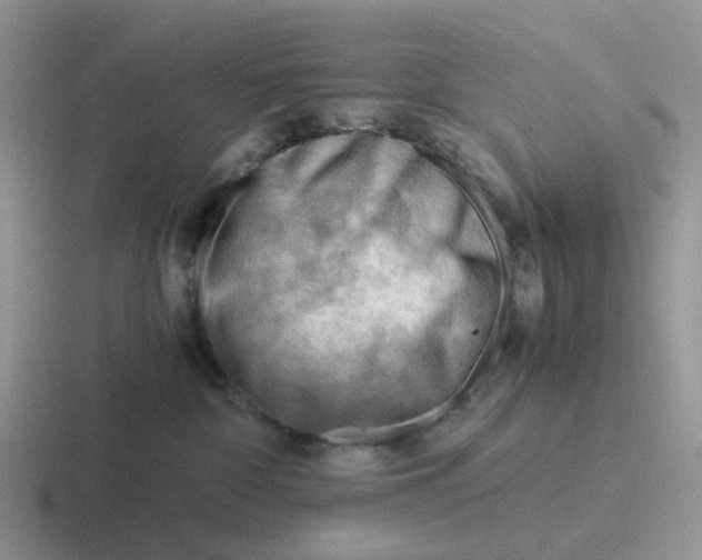 X0000116640332201001041036