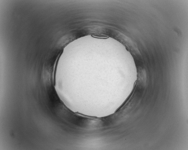 X0000116640333201001041036