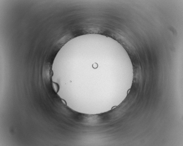 X0000116640334201001041036