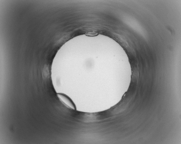 X0000116640335201001041036