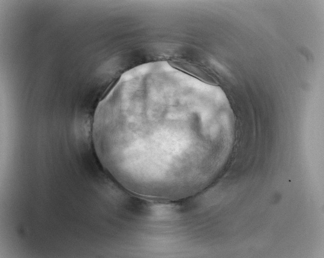 X0000116640336201001041036