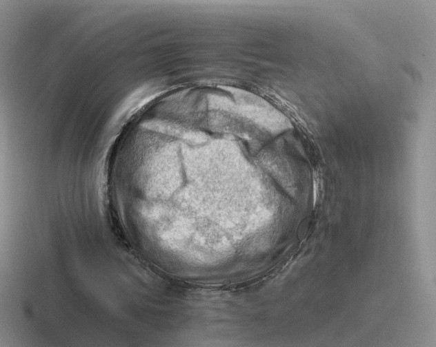 X0000116640339201001041035