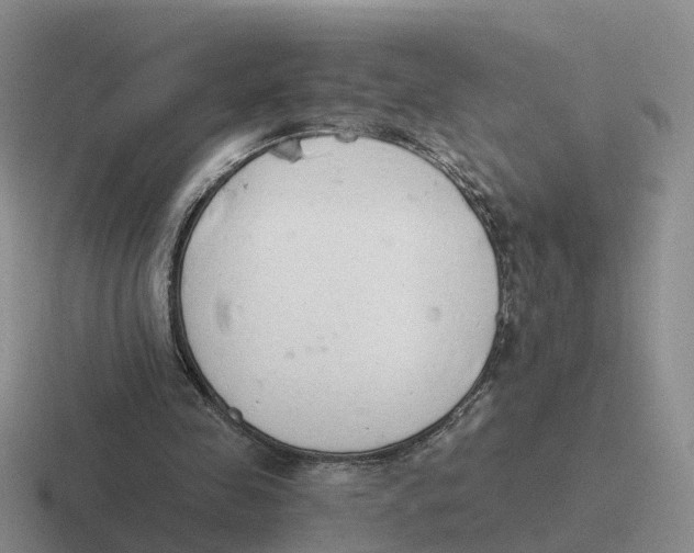 X0000116640341201001041035