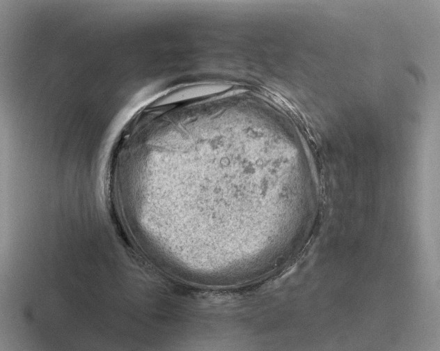 X0000116640343201001041035