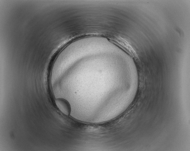 X0000116640346201001041035