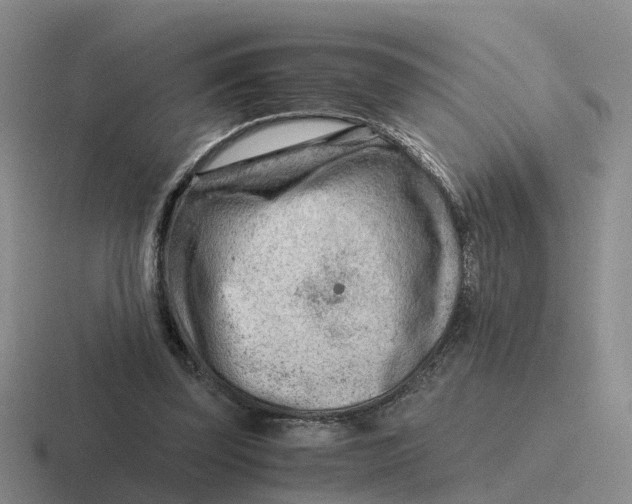 X0000116640347201001041035