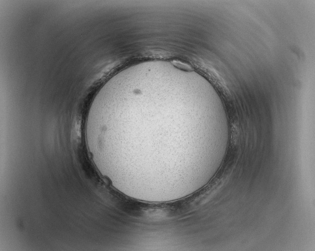 X0000116640358201001041035