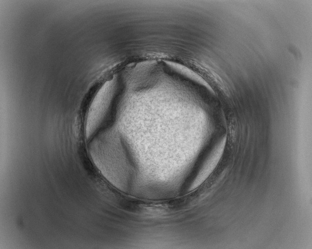 X0000116640359201001041035