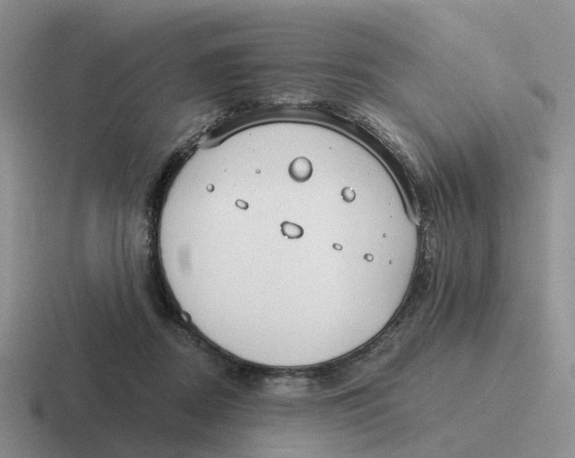 X0000116640362201001041035