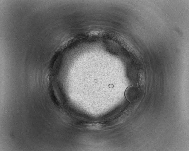 X0000116640363201001041035