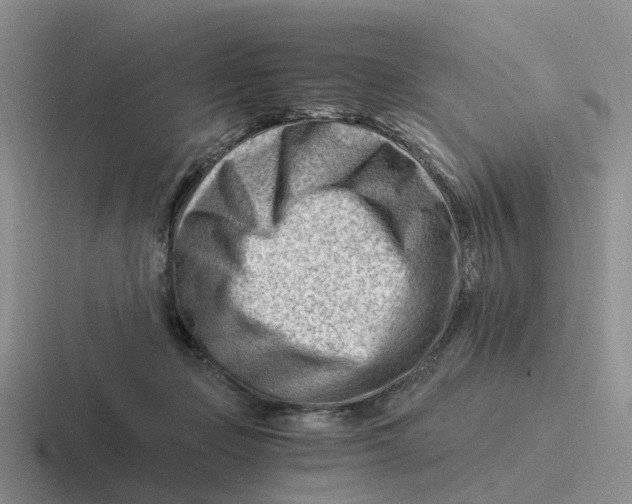 X0000116640365201001041035