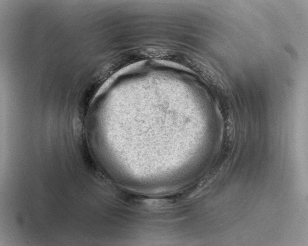 X0000116640371201001041035