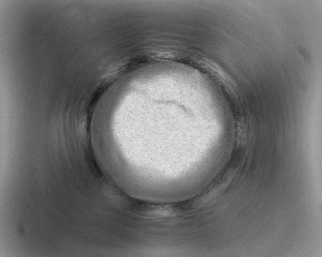 X0000116640377201001041035