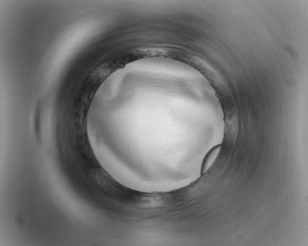 X0000116640381201001041035