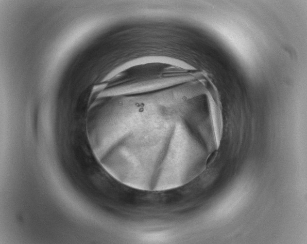 X0000116640383201001041035