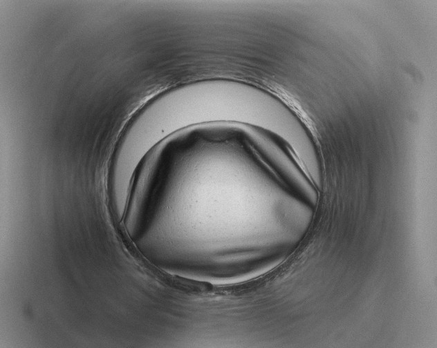 X0000116640386201001041035