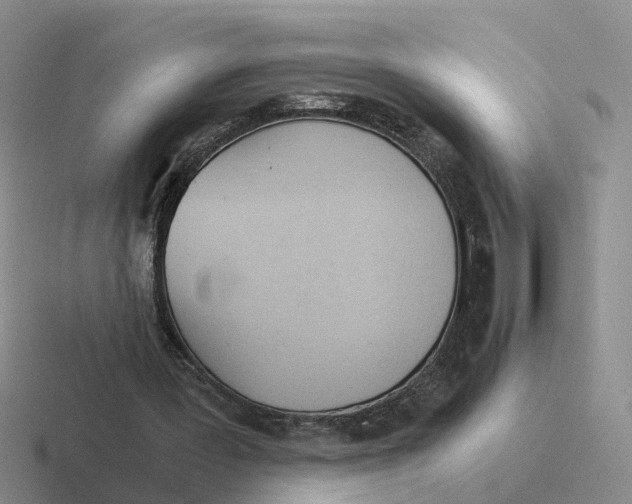 X0000116640387201001041035