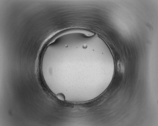 X0000116640388201001041035